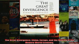 EBOOK ONLINE  The Great Divergence China Europe and the Making of the Modern World Economy  DOWNLOAD ONLINE