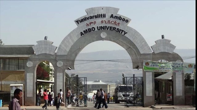 Ambo University students attacked by police - VOA