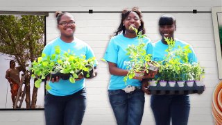Comcast Cares Day: 15 Years in the Making