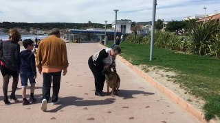 A la ciotat éducation canine par toutoucool13