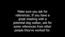 Dog Walkers for Your Dog Health
