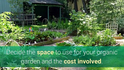 Starting a Vegetable Garden With 5 Helpful Tips