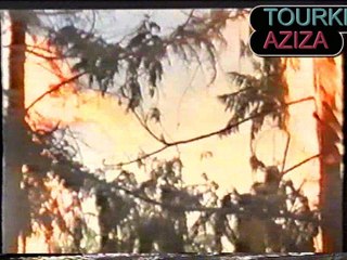 Films d'action en français