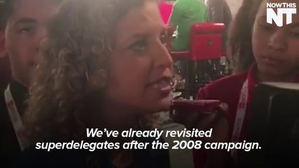 One Of Bernie Sanders' Superdelegates Thinks We Should Talk About The System