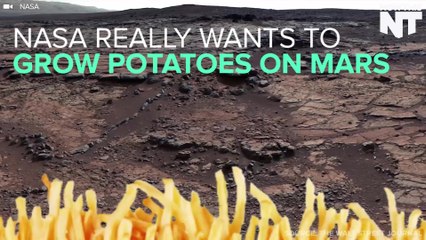 NASA Really Wants to Grow Potatoes on Mars