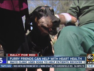 Furry friends can help with heart health