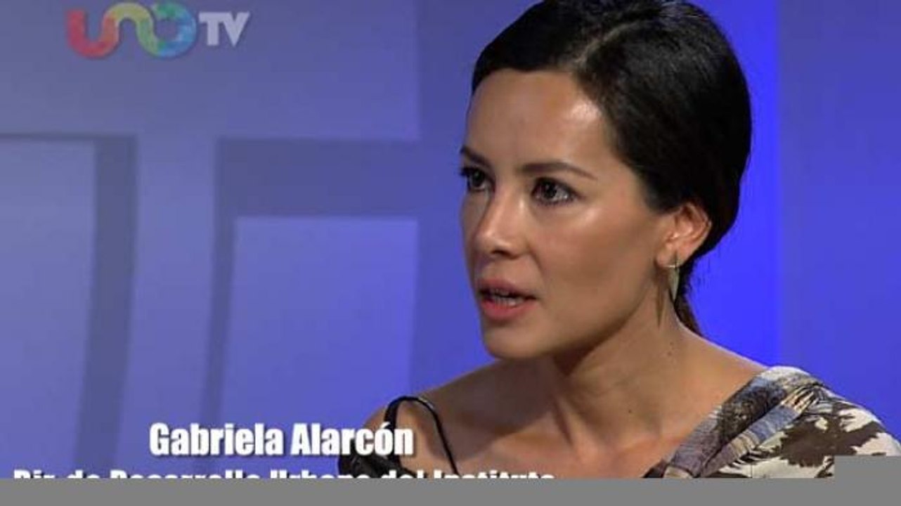 En la Mira. El Hoy no circula no puede ser permanente