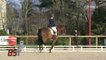 Équitation : Concours national de dressage (Vendée)