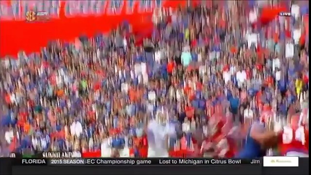 Florida Gators Football - 2016 Spring Game Highlights (1)