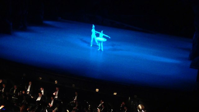 La Bayadere. Anna Nikulina & Vladislav Lantratov. Part of Pas de Deux from the 3rd act.