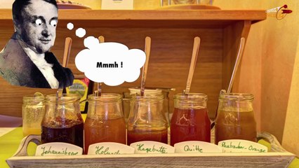 Histoire du Cannabis (C'est pas sorcier) (2016) (FR)