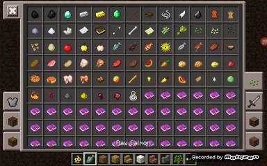 minecraft pe how to tame a cat and 10 traps