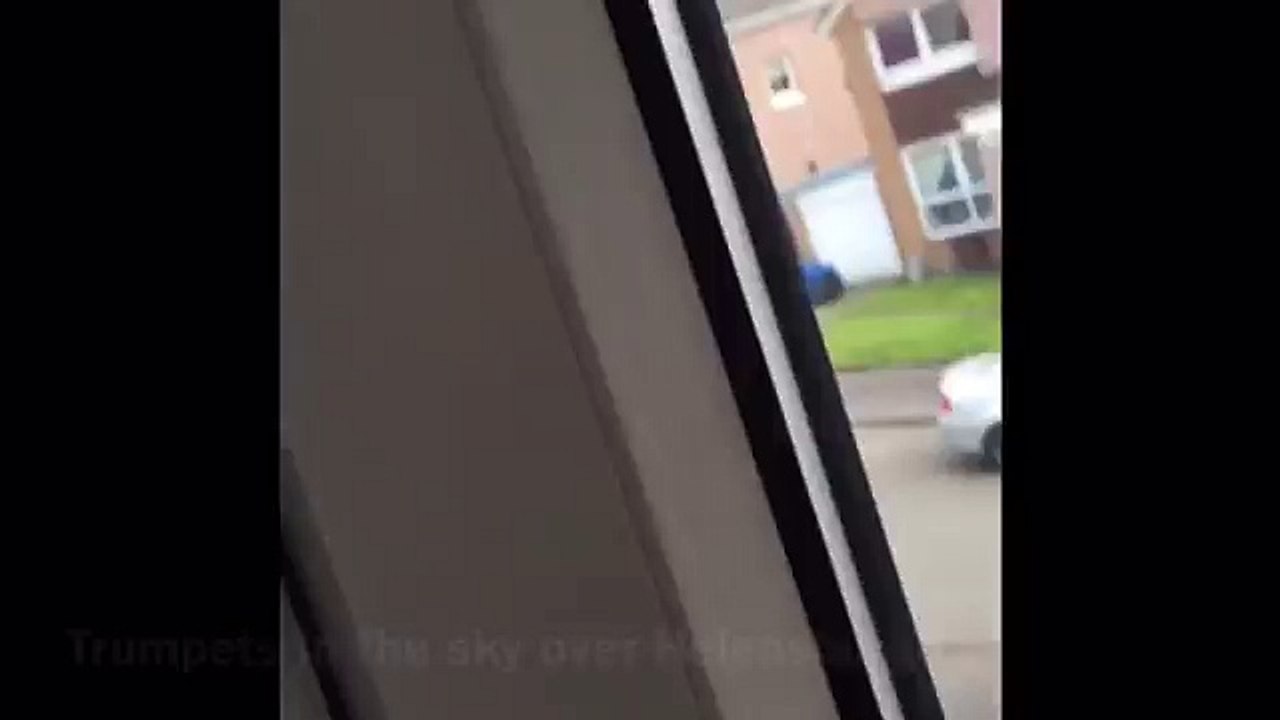 Trumpets of the sky spotted in Scotland UK