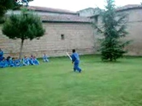 Vovinam Viet vo dao video 1