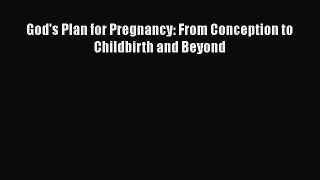 Download God's Plan for Pregnancy: From Conception to Childbirth and Beyond  EBook