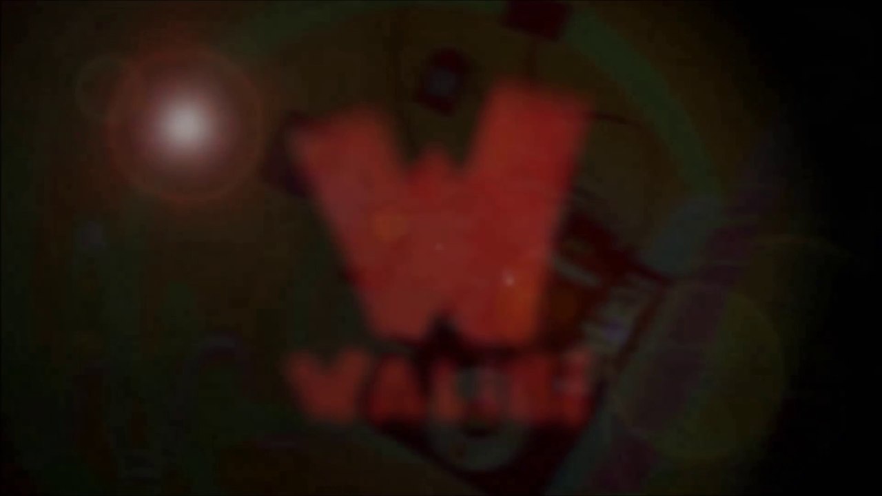 Le rebranding de Walibi en 2011