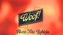 Blaze Fire Lighters