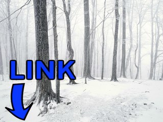 Tropico 5 keygen gratuit 2016 telecharger