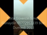 Takla Güvercin Ismail Günaydin 01772957339 Boz Dumanli 2013 takla güvercin