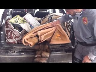 Suriye'den Türkiye'ye giriş yapmak isteyen araçta silah ve el bombası bulundu