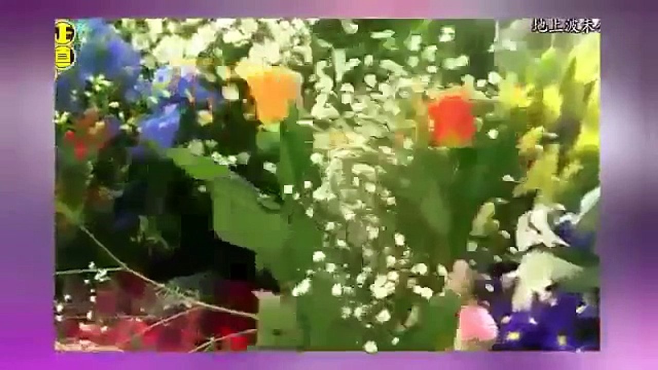 新婚 澤部に壊れる有吉さん