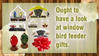 Choosing Window Bird Feeder Gifts