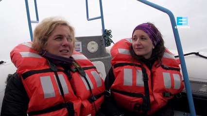 Atlantico Sur Ballena franca austral documental completo latino