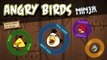 Angry Birds Ninja (Angry Birds vs Fruit Ninja)