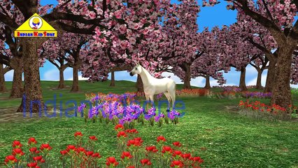 Lion,Tiger,Cheetah Finger Family 3d animals animated English rhymes Collection 20 Min video