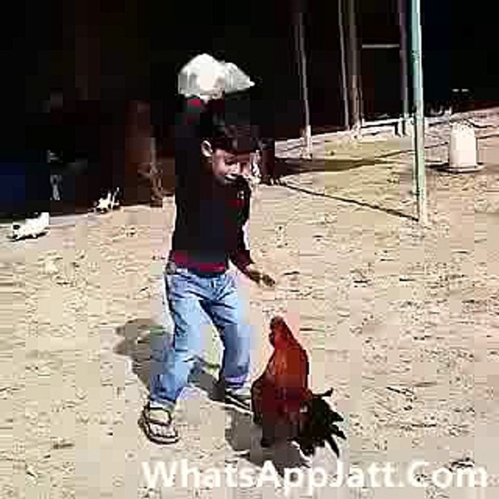 Cock Nay Baby Rwa Dita
