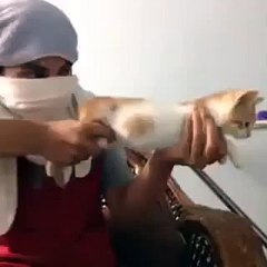 Cute Cat Used As Shot Gun