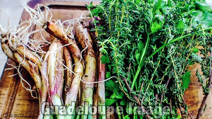 Guadeloupe : Panorama