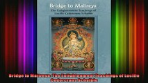 Download  Bridge to Maitreya The Enlightenment Teachings of Lucille Cedercrans Schaible Full EBook Free