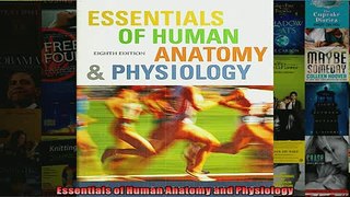 FREE DOWNLOAD  Essentials of Human Anatomy and Physiology  DOWNLOAD ONLINE