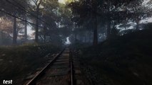 The Vanishing of Ethan Carter Redux test