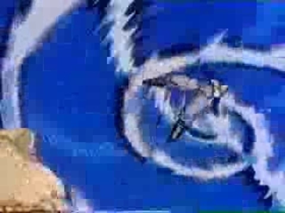 Dragon Ball Z - Papercut (video)
