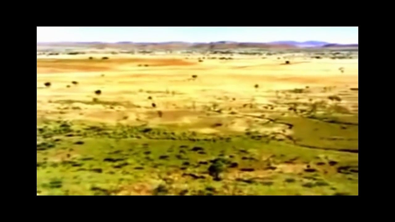 เครื่องดื่มเลือดสดเผ่าล่าและกินเนื้อดิบ