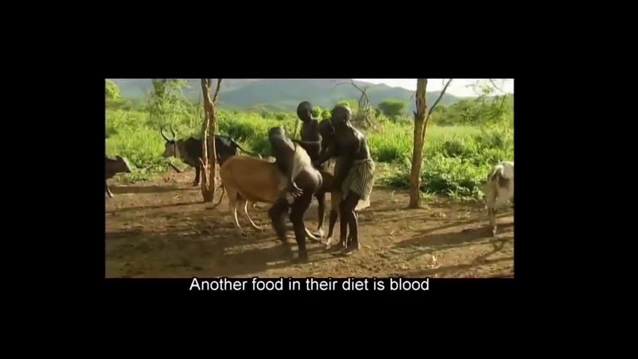 ก่อนพิธีกรรมการแต่งงานของสาวชนเผ่า HAMASI