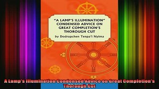 Read  A Lamps Illumination Condensed Advice on Great Completions Thorough Cut  Full EBook
