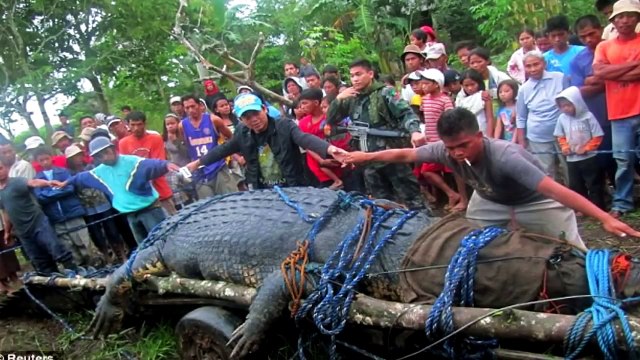 World's 10 Biggest Animals of All Time World's Biggest Animal