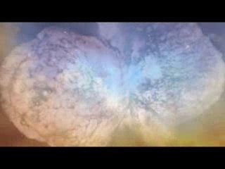 Hubble Space Telescope Panorama