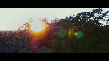 THE BIRTH OF A NATION׃ Official HD Teaser Trailer