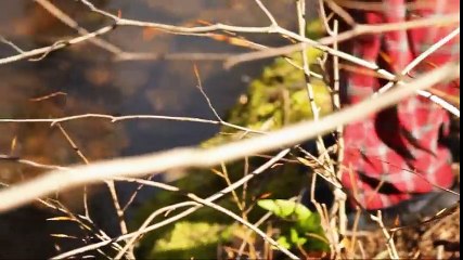 ---Breakfast in Bed, Operation  Eggs Benedict cooking video  on dailymotion