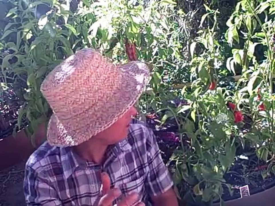 Harbor Freight 6x8 Greenhouse Tips N Tricks Review