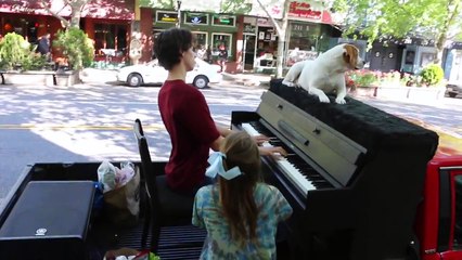 Traveling Piano in Mountain View, California