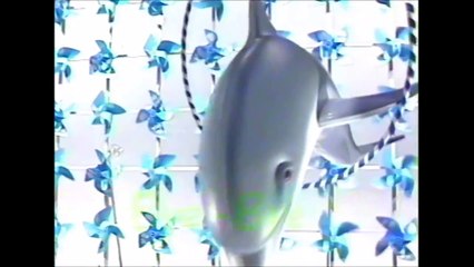 夏のヒロイン 82 河合奈保子 Naoko Kawai