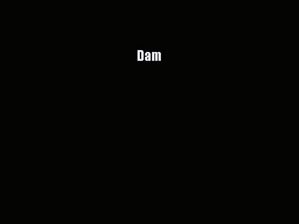 Read Dam Ebook Free