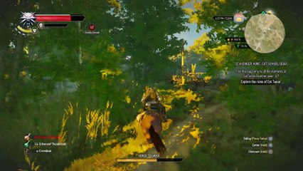 WITCHER 3 DEATH MARCH! WALKTHROUGH 115 - SCAVENGER HUNT CAT SCHOOL GEAR