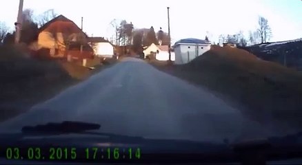 Собака выгуливает хозяина.