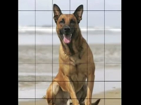 How to draw cartoons step by step - cartoon characters to draw